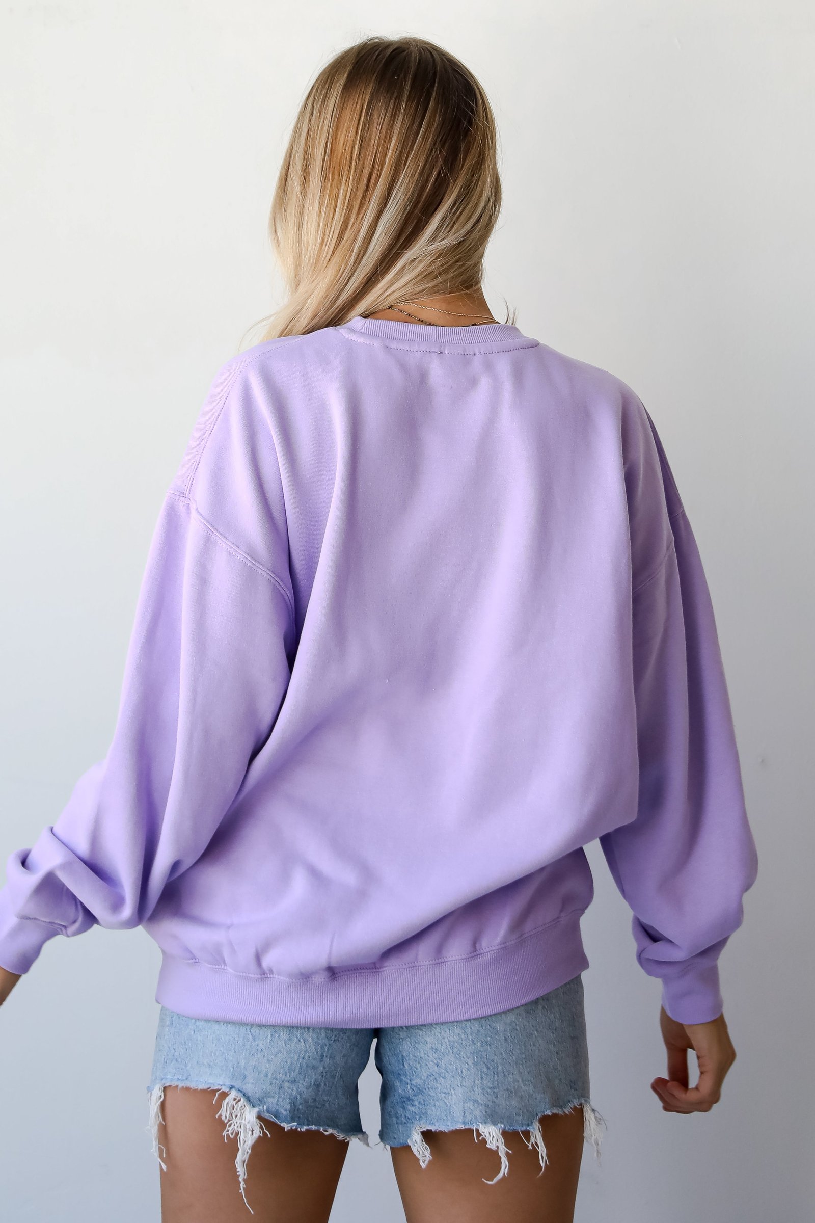 Lavender Charleston South Carolina Sweatshirt AL10